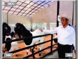 Mentan Amran Ajak Pengusaha Jawa Barat Berperan Aktif Wujudkan Swasembada Daging