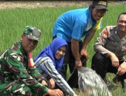 Hapus Mimpi Buruk Petani di Desa Gading