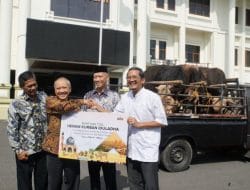 SIG Pabrik Tuban Salurkan 38 Hewan Kurban