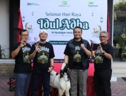 Idul Adha, PT Pegadaian Kanwil XII Surabaya Qurban 70 Kambing dan 20 Sapi