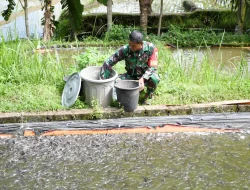 Kisah Serma Sudarsono, Prajurit TNI AD Pemilik 48 Kolam Ikan Lele