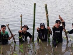 Kolaborasi Aliansi BEM dan Masyarakat Dusun Bubakan dalam Penanaman 1.000 Pohon Mangrove