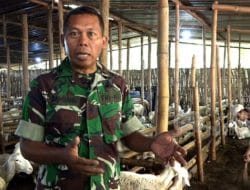 Ubah Nasib Petani Singkong, Prajurit TNI Rela Rugi Puluhan Juta Sebulan