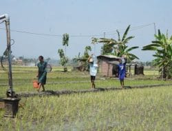 Berkat TNI, Langkahku Tak Lagi Jauh