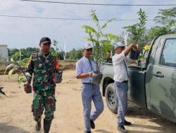 Bibit Pohon untuk Di tanamkan Pada Saat Upacara Mulai Disiapkan