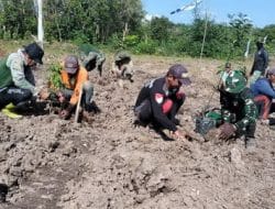 Satgas TMMD Kodim 1011/KLK Bersama Warga Tanam Pohon Buah-Buahan