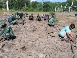 Tanaman Pohon Buah-Buahan Harapan Baru Bagi Warga Desa Manyahi