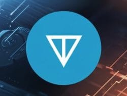 Harga TON IDR Meroket di Tengah Pasar Kripto yang Lesu, Ini Alasannya!