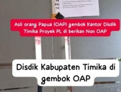 Dugaan Penyelewengan Proyek PL Disdik Timika, Kontraktor OAP Merasa Kecewa