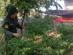 Kerja Keras Serda Adhi Bawa Sejuta Manfaat