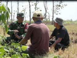 Bantuan Kementan dan TNI AD Sentuh Petani Milenial