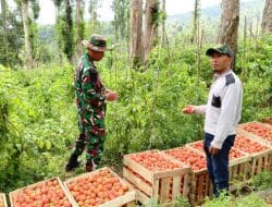 TMMD Ke 121 Kodim Probolinggo Kelar, Masyarakat Mulai Merasakan Dampaknya