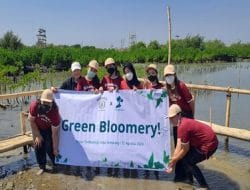 Bloomery Patisserie Inisiasi Campaign Pelestarian Lingkungan #GreenBloomery