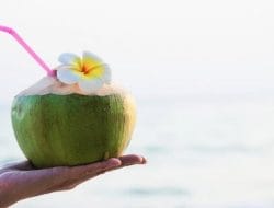 Benarkah Minum Kelapa Muda saat Haid Bisa Membuat Darah Banyak?