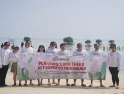 Program CSR J&T Express Tanam 3.000 Mangrove untuk Melestarikan Lingkungan