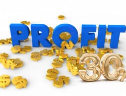 Cara Naikkan Profit: Bisa Tembus 30% Per Tahun