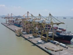 Arus Petikemas TPS Pada Triwulan Ketiga 2024 Tetap Kuat