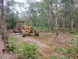 Pembuatan Badan Jalan Terus Dikerjakan oleh Satgas TMMD Kodim 1010/Tapin