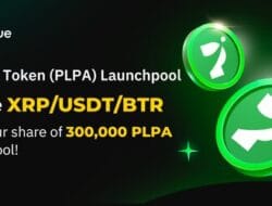 Get a Chance to Win 300,000 PLPA on Bitrue Launchpool by Staking XRP/USDT/BTR