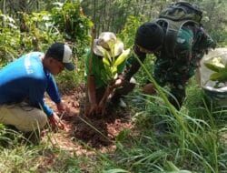 TNI AD Menyatu dengan Alam, Tanam 1.250 Pohon di Tulungagung