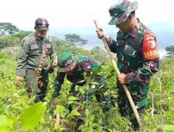 TNI AD Menyatu dengan Alam, Hijaukan Gunung Bayangkaki, Ponorogo