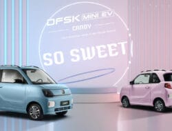 Cute Appearance, 220 km Range, Can You Believe It?