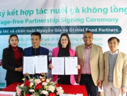 Global Food Partners’ Impact Incentives Program Drives Vietnam’s Largest Transition to Cage-free Egg Production
