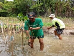 Dampak Nyata LindungiHutan Tanam 978.000 Pohon di Indonesia