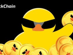 Get to Know About DuckChain: Roadmap 2025, Tokenomics, Event, Rewards,& Airdrop