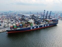 Pelindo Terminal Petikemas Catat Arus Container Tahun 2024 Tembus 12,48 Juta TEUs