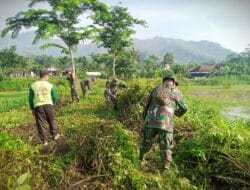 TNI AD Menyatu dengan Alam, Sasar Embung Desa Semarum di Trenggalek