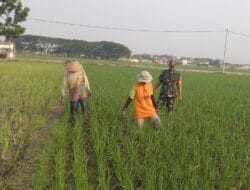 Empat Satuan Jajaran Korem 081/DSJ Lampaui Target LTT, Tertinggi Hampir 5 Kali Lipat