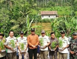 Tingkatkan Produksi Cabai dan Kendalikan Inflasi, Pemkab Pacitan Canangkan Gerakan Menanam Cabai