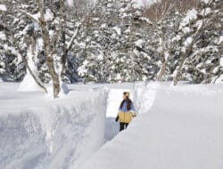 Hanya di Musim Dingin! Dinding Salju Raksasa Setinggi 5 Meter “Tsugaike Snow Wall” di Pegunungan Bersalju dengan Ketinggian 1.500 Meter