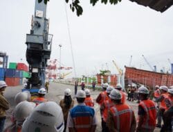 Pastikan Terminal Petikemas Aman, Pelindo Melaksanakan Training Vertical Rescue