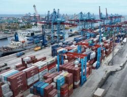 Pelindo Terminal Petikemas: Arus Peti Kemas Ekspor Tahun 2024 Tumbuh 10,58 Persen