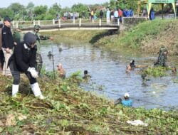 Warga Desa Kedungsumur Kecamatan Krembung Ikut Jihad Rawat Kali