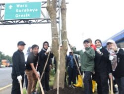 Pemkab Sidoarjo Tanam Pohon Pule di Taman Gerbang Tol Sidoarjo