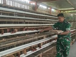 Dukung Ketahanan Pangan dan MBG, Kodim 0805/Ngawi Budidaya Perikanan dan Peternakan