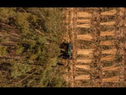 Koltiva Dorong Dialog Multi-Pemangku Kepentingan tentang Regulasi Anti Deforestasi Uni Eropa dan Kepatuhan untuk Keberlanjutan Industri