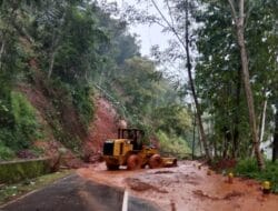Akibat Hujan Deras, Jalur Pacitan-Ponorogo Longsor, PU Binamarga UPT PJJ Pacitan Langsung Eksekusi Longsoran