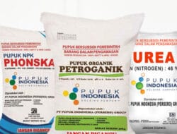 Penulisan Dugaan Penjualan Pupuk Subsidi Desa Bangunsari Berbuntut Panjang