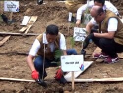 PLN UPT Purwokerto Dorong Pemanfaatan Biomassa, Tanam 22 Ribu Bibit Kaliandra di Cilacap