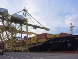 Arus Petikemas TPS Pada Bulan Februari 2025 Meningkat