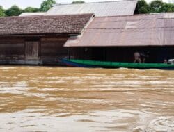 Kapuas Darurat Banjir – Pemerintah Berencana Pindahkan Pemukiman di Wilayah Rawan Bencana