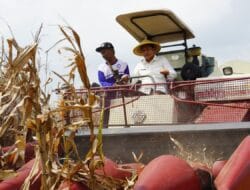 Bupati Subandi Dukung Penuh Program Ketahanan Pangan Nasional