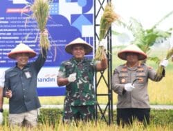 Tingkatkan Produksi Padi di Ngawi, Danrem Fokus Tingkatkan LTT