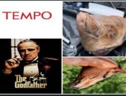 Teror Kepala Babi untuk Wartawan Tempo: Bentuk Ketakutan Pelaku, Negara Harus Bertindak Melindungi Kebebasan Pers