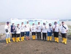 Wujudkan Dekarbonisasi, Pelindo Solusi Logistik Tanam Mangrove dan Penghijauan