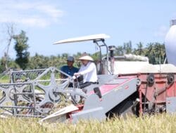 Kabupaten Jember menjadi Lumbung Pangan Nasional, Bupati Jember Bakal Gandeng TNI Polri.